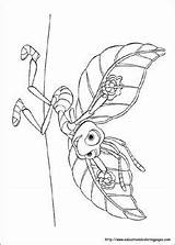 Coloring Pages Life Bug Printable Sheets Bugslife Caterpillar Disney Print sketch template