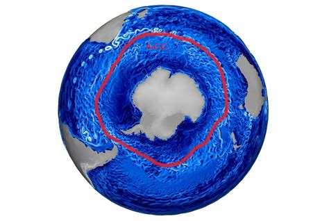 interesting facts   southern ocean  fun facts