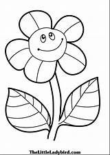 Coloring Pages Sunflower Bits Littl Search Again Bar Case Looking Don Print Use Find sketch template