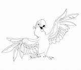 Coloring Flying Parrot Pages Printable Getcolorings Parrots sketch template