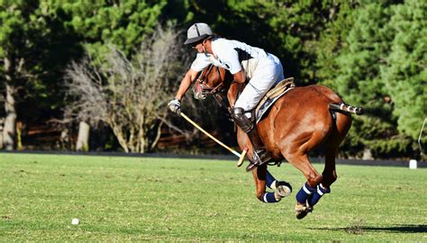 polo el deporte argentino por excelencia