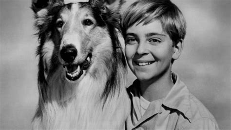 lassie 1954 mubi