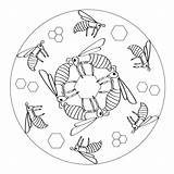 Mandala Bienen Mandalas Honeycomb Kigaportal Cells Honeycombs sketch template