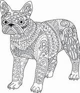 Pages Choose Board Coloring Dog Zentangle French sketch template