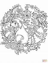 Coloring Raccoon Pages Printable Forest Animals Categories sketch template