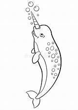 Narwhal Swims sketch template