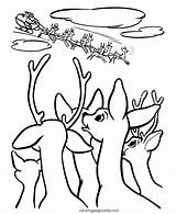 Reindeer Rudolph Nose Nosed Sleigh Bestcoloringpagesforkids sketch template
