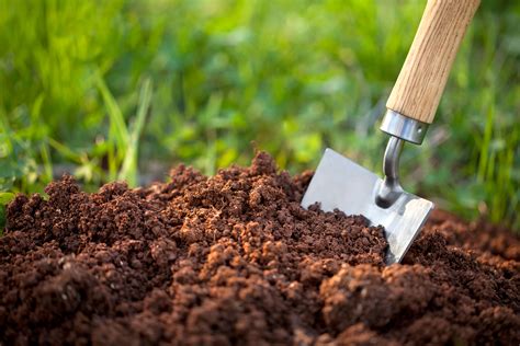 great garden soil hacks  give  beds  boost sunset magazine