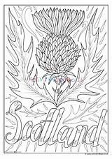 Colouring Scotland Thistle Flower Pages Coloring National Kids Colour Sheets Scottish Activityvillage Thistles Village Activity Explore Choose Board sketch template