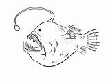 Fish Sea Deep Coloring Vector Light Illustration Preview Head sketch template