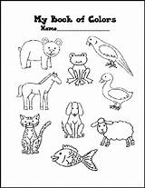 Eric Carle Preschool Popular sketch template