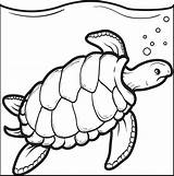 Turtle Coloring Pages Sea Swimming Printable Kids Drawing Sheets Animal Color Print Daylight Savings Getdrawings Time Turtles Ocean Shell Getcolorings sketch template
