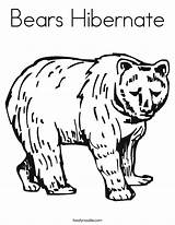Coloring Hibernate Bears Bear Built California Usa sketch template