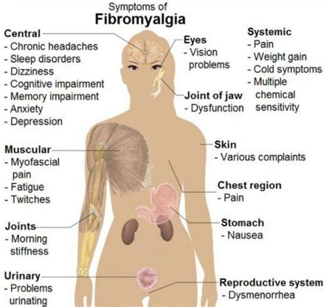 pin on fibro and health aids that rock