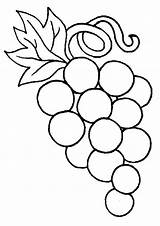 Grapes Coloring Printable Pages Color Getcolorings Print sketch template
