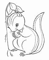 Chipmunk Chipmunks Dale Squirrels Squirrel Kleurplaat Designlooter Webstockreview Honkingdonkey 76kb 230px sketch template