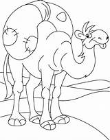 Camel Coloring Pages Print Color Journey Long Kids Coloring2print sketch template