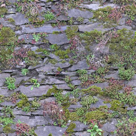 Texture Jpeg Mossy Stone Wall