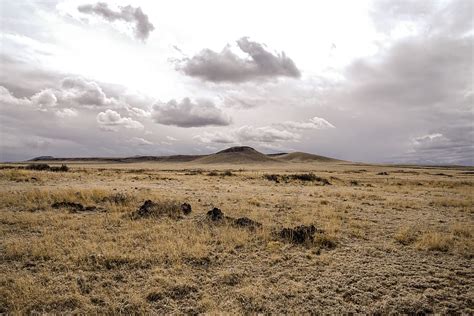 hd wallpaper outdoors nature field grassland savanna ground