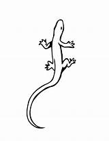 Bestcoloringpagesforkids Lizards Grandfather Flying Clipartbest sketch template