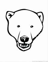 Bear Polar Coloring Face Pages Drawing Cartoon Head Bears Printable Template Simple Teddy Color Cub Cola Print Coca Clipart Outline sketch template