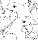 Kleurplaten Hyacinth Macaw Macaws Tekening Vogels Vogel Tekeningen Papagaaien Sheet Parrot Scarlet sketch template