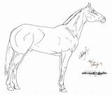 Horse Quarter Pages Coloring Getcolorings Jumping Color sketch template