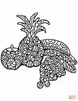 Apple Coloring Pineapple Zentangle Pages Bananas Grape Printable Fruits Paper Adults Supercoloring sketch template