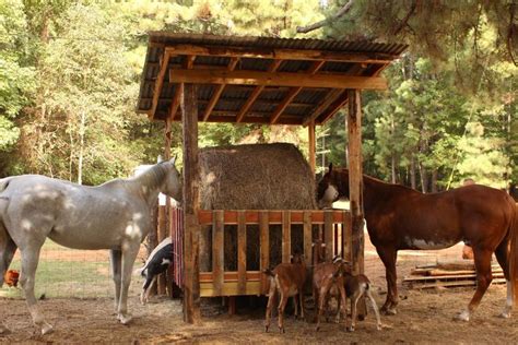 image associee hay feeder  horses hay feeder horse farm ideas