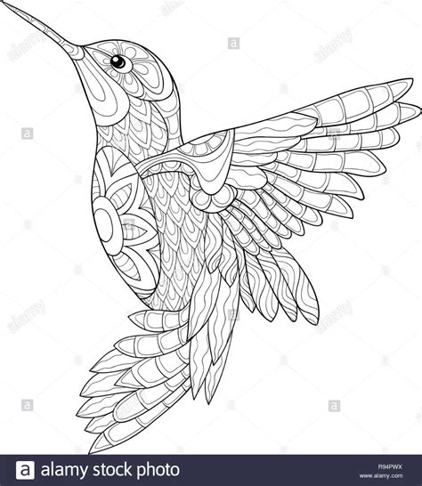 colibris mandalas busqueda de google bird coloring pages animal
