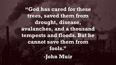 god  cared   trees john muir