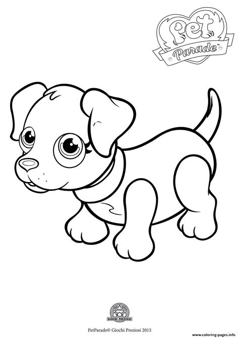 collie dog coloring pages