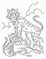 Cheetah Pages Coloring Cub Baby Tiger Print Colouring Cheetahs Printable Color Kids Popular Library Clipart Coloringhome Mum Getcolorings Books sketch template