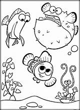Nemo Finding Pages Coloring Printable Squirt Crush Getcolorings Color sketch template