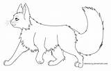 Warrior Cat Coloring Pages Walking Lineart Cats Drawing Outline Print Color Couple Kids Deviantart Draw Deviant Getdrawings sketch template