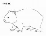 Wombat Draw Drawing Drawings Animals Animal Stew Outline Australian Cute Stencil Aboriginal Template Clipart How2drawanimals Templates Australia Step Print Masks sketch template