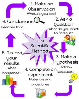 scientific method anchor chart  wightmans anchor charts tpt