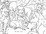 Wolf Coloring Pack Pages Anime Lineart Comments Library Popular Coloringhome sketch template
