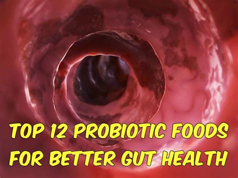 Top 12 Probiotic Foods For Better Gut Health