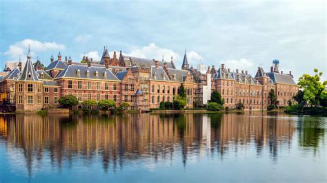 mauritshuis  hague book  tours getyourguide