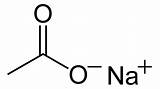 Sodium Bicarbonate Formula Acetate Skeletal sketch template