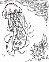 Coloring Pages Jellyfish Spongebob Getcolorings Fish Jelly sketch template