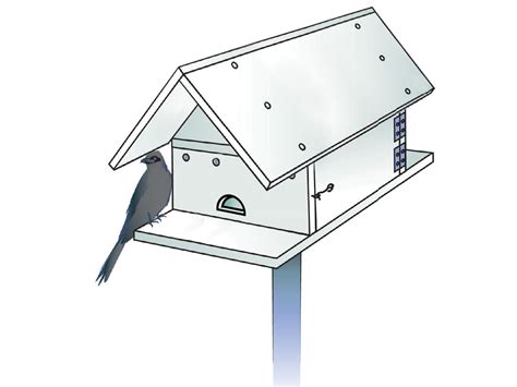 build  purple martin house  attract bug eating birds scout life magazine