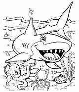 Oceanu Dnie Kolorowanka Rekin Sharks Mamydzieci Adults sketch template