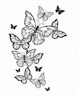 Farfalle Flowers Downloadable Artistiche Contorno Volo Bianco Fondo sketch template