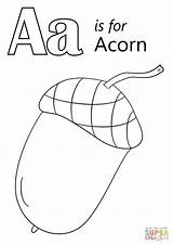 Coloring Acorn Pages Letter Printable Color Sheet Getcolorings Crafts Template Onlinecoloringpages sketch template