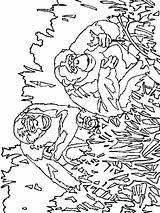 Apen Kleurplaat Kleurplaten Monkeys Affen Mewarnai Coloriages Monyet Singes Bergerak Animierte Malvorlage Scimmie Malvorlagen Animaatjes Kleurplatenwereld 1907 Stemmen Animate Erstellen sketch template