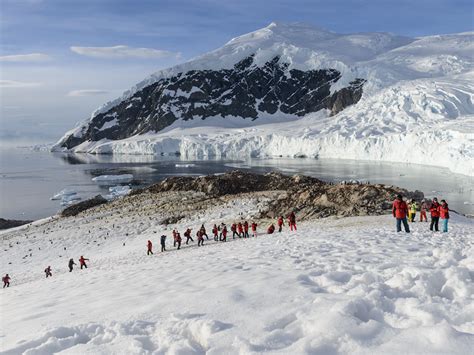 south shetland islands cruises polartours