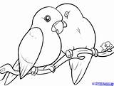 Birds Drawing Draw Bird Lovebirds Drawings Sketch Coloring Cartoon Step Pages Pencil Dragoart Easy Cute Two Paintingvalley Branch Collection Painting sketch template