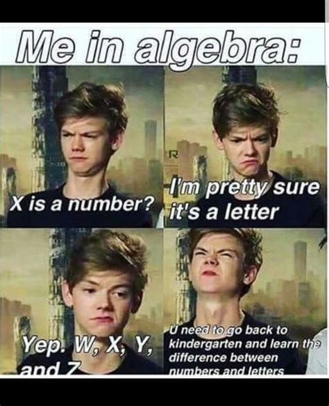 algebra meme  kingofdeeprun memedroid